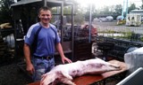 Bauer mit 35kg Schwein