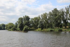 Grün in Grün