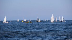 Opti Regatta