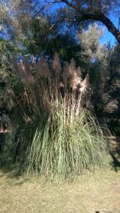 Global Sailing Garten