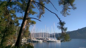 Ankunft Marina Global Sailing