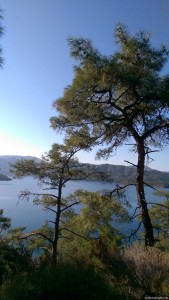 Aussicht Richtung English Harbour